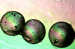 Cancer du foie : les nano-médicaments doublent les chances de survie 